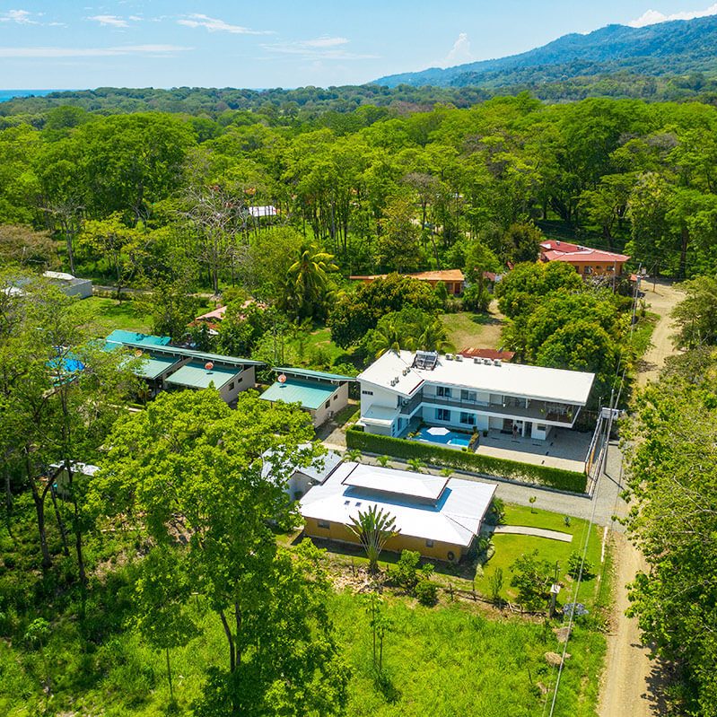 Hotel-marimno-ballena