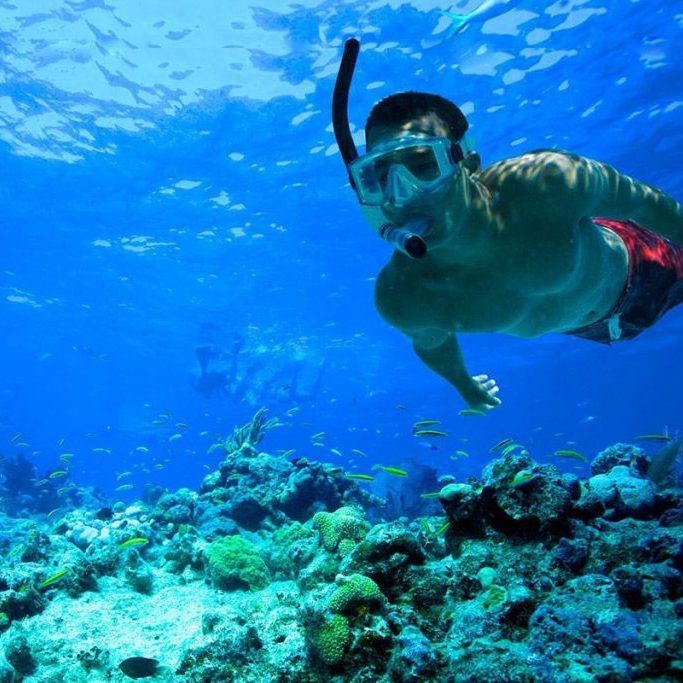 Snorkeling-punta-uvita